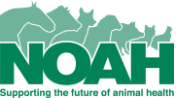 NOAH Logo